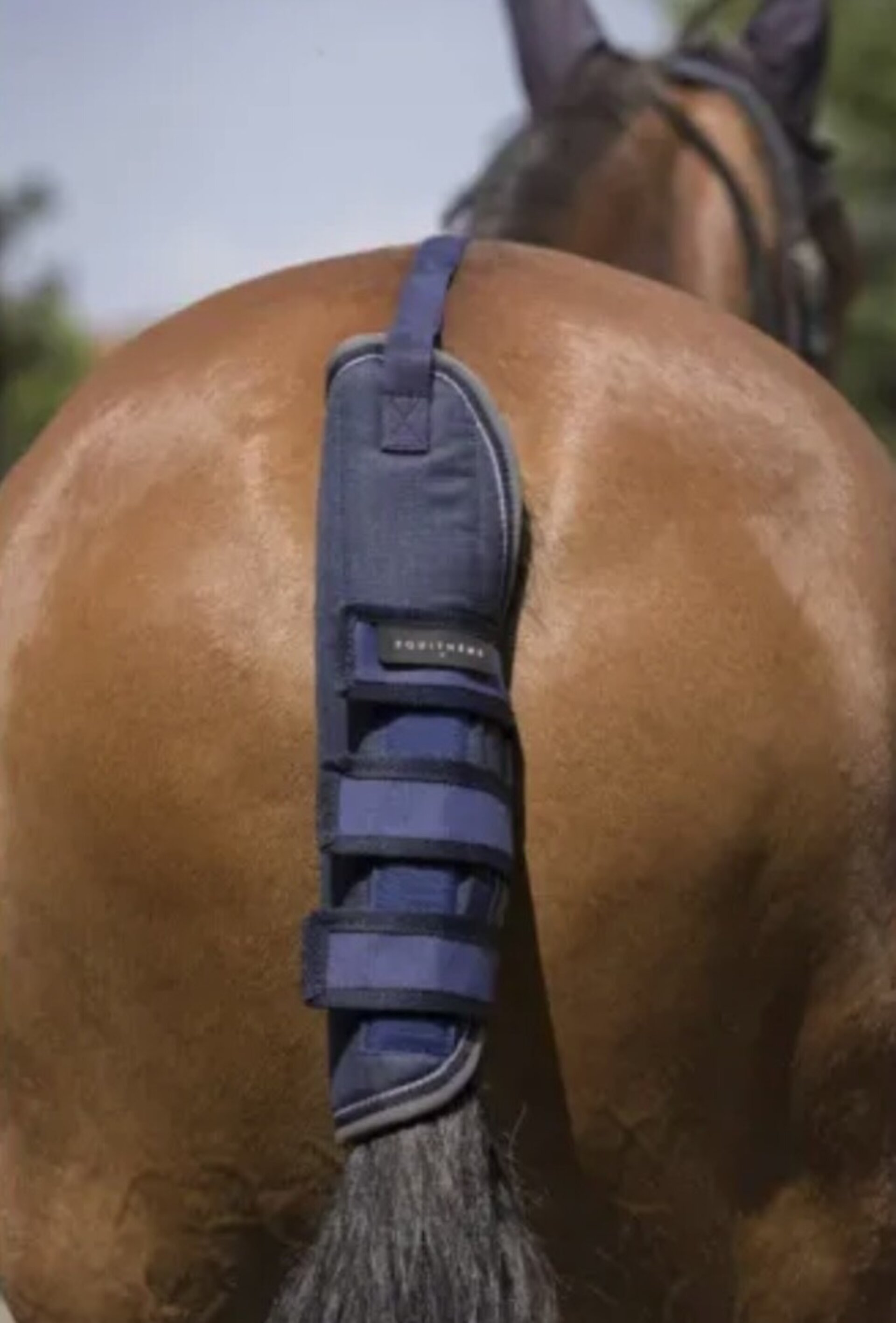 PROTECTOR COLA EQUITHEME TYREX 600 D - 2