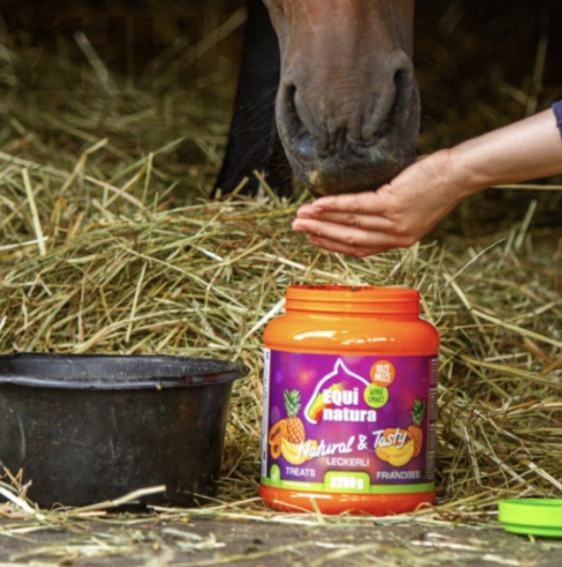 GOLOSINAS EQUINATURA TASTY TREATS - 2