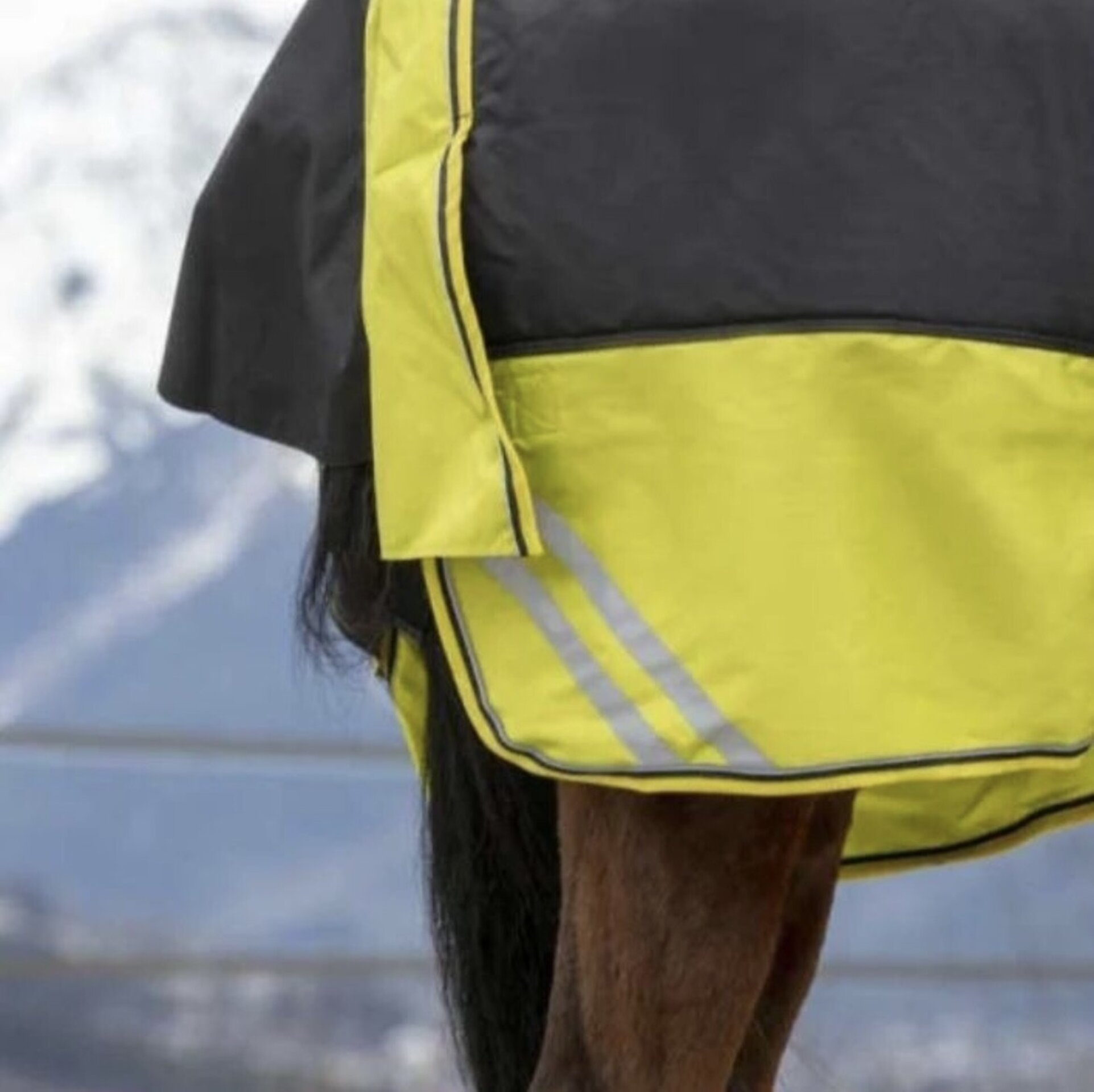 MANTA IMPERMEABLE EQUI-THEME TYREX 600 DENIERS - 2