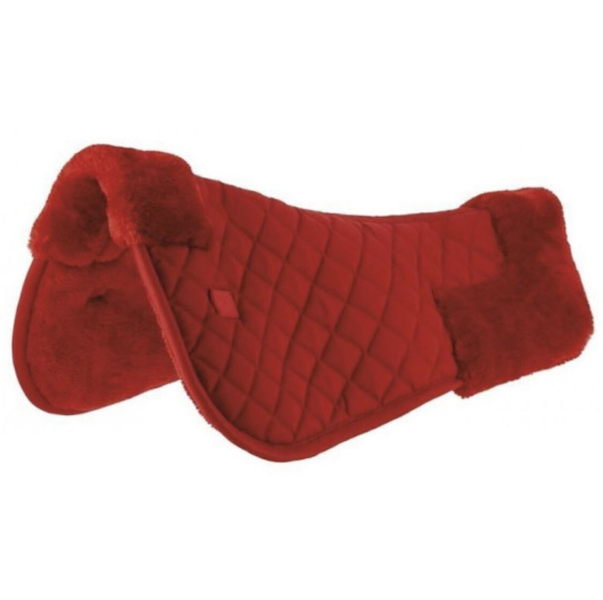 SALVACRUZ RIDING WORLD - 3