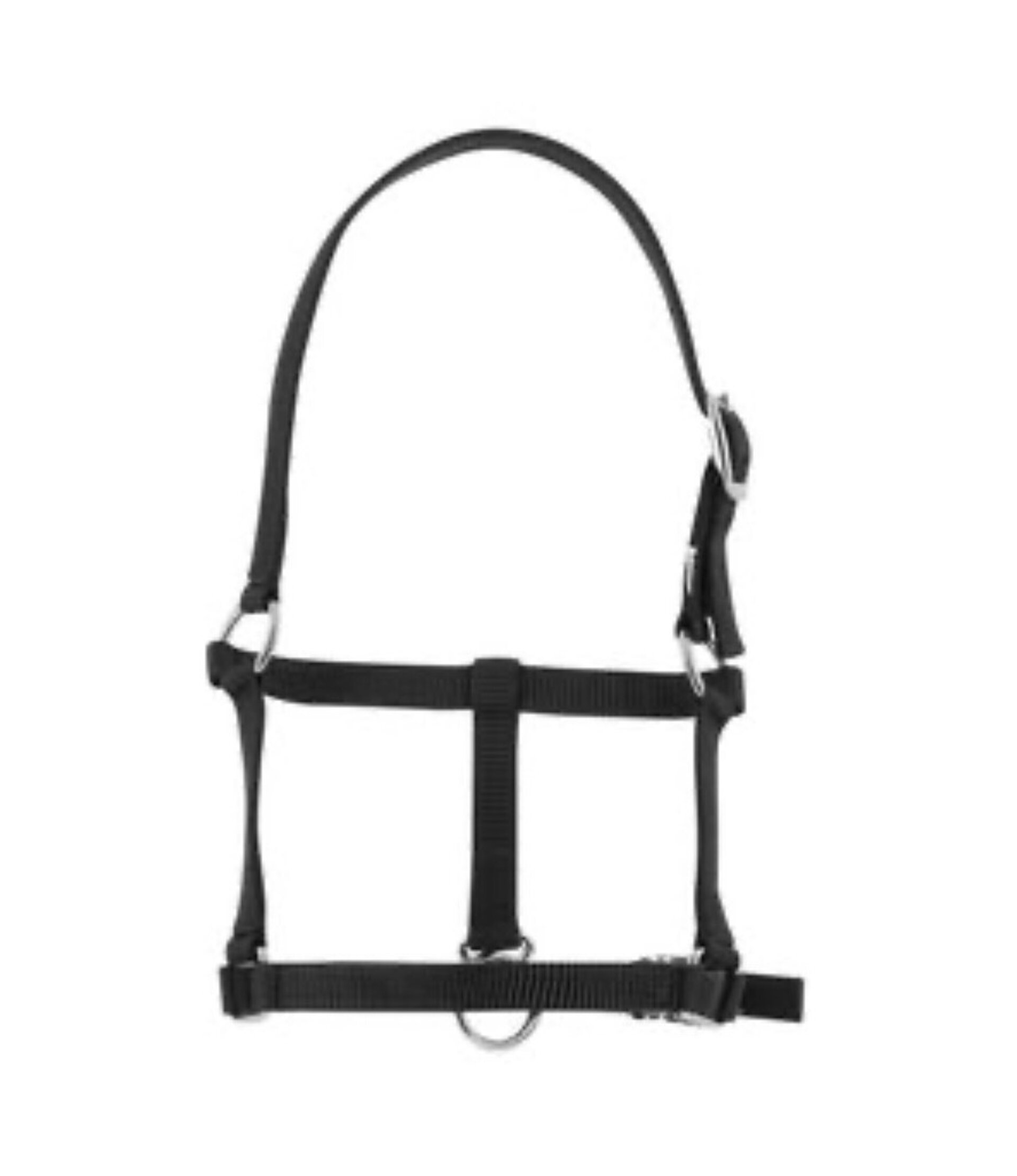 CABEZADA NYLON POTRO RIDING WORLD - 2