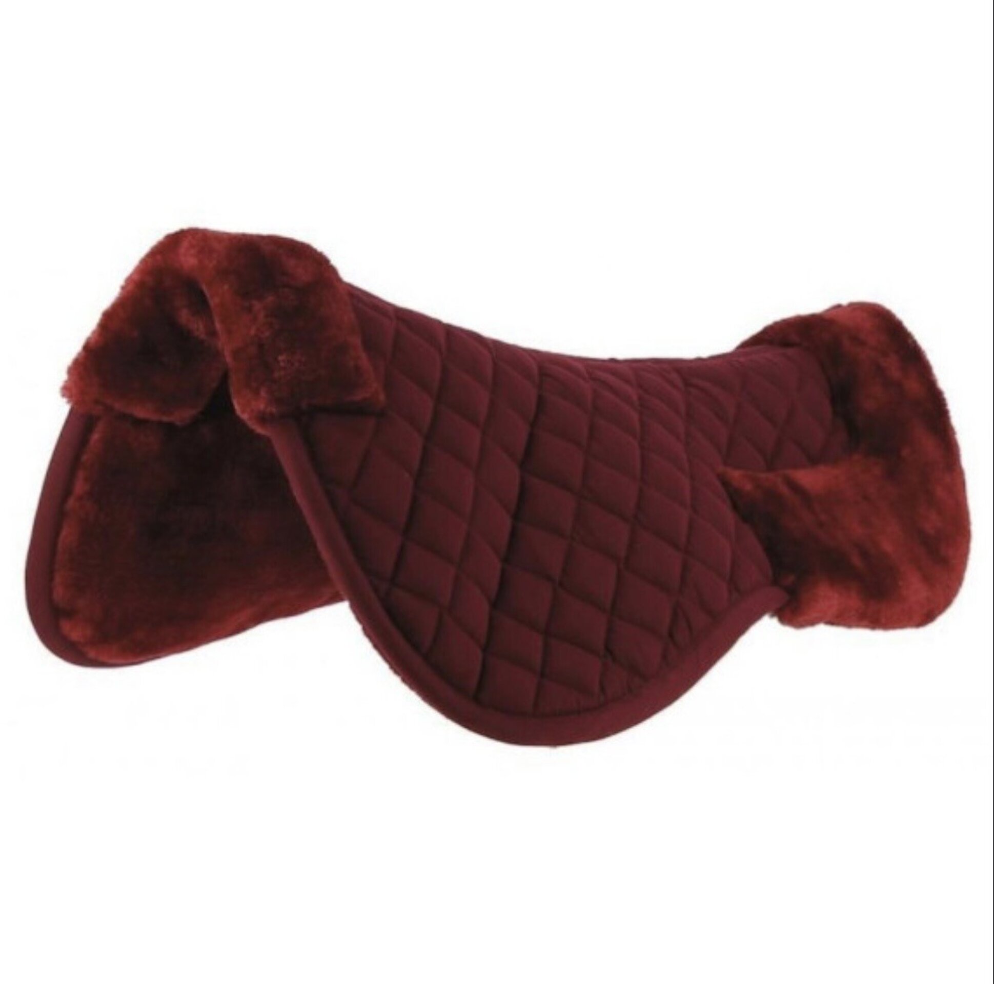 SALVACRUZ RIDING WORLD - 2